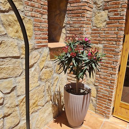 Casa Rural Del Pantano 4 Estrellas Buenache de Alarcon Exteriör bild