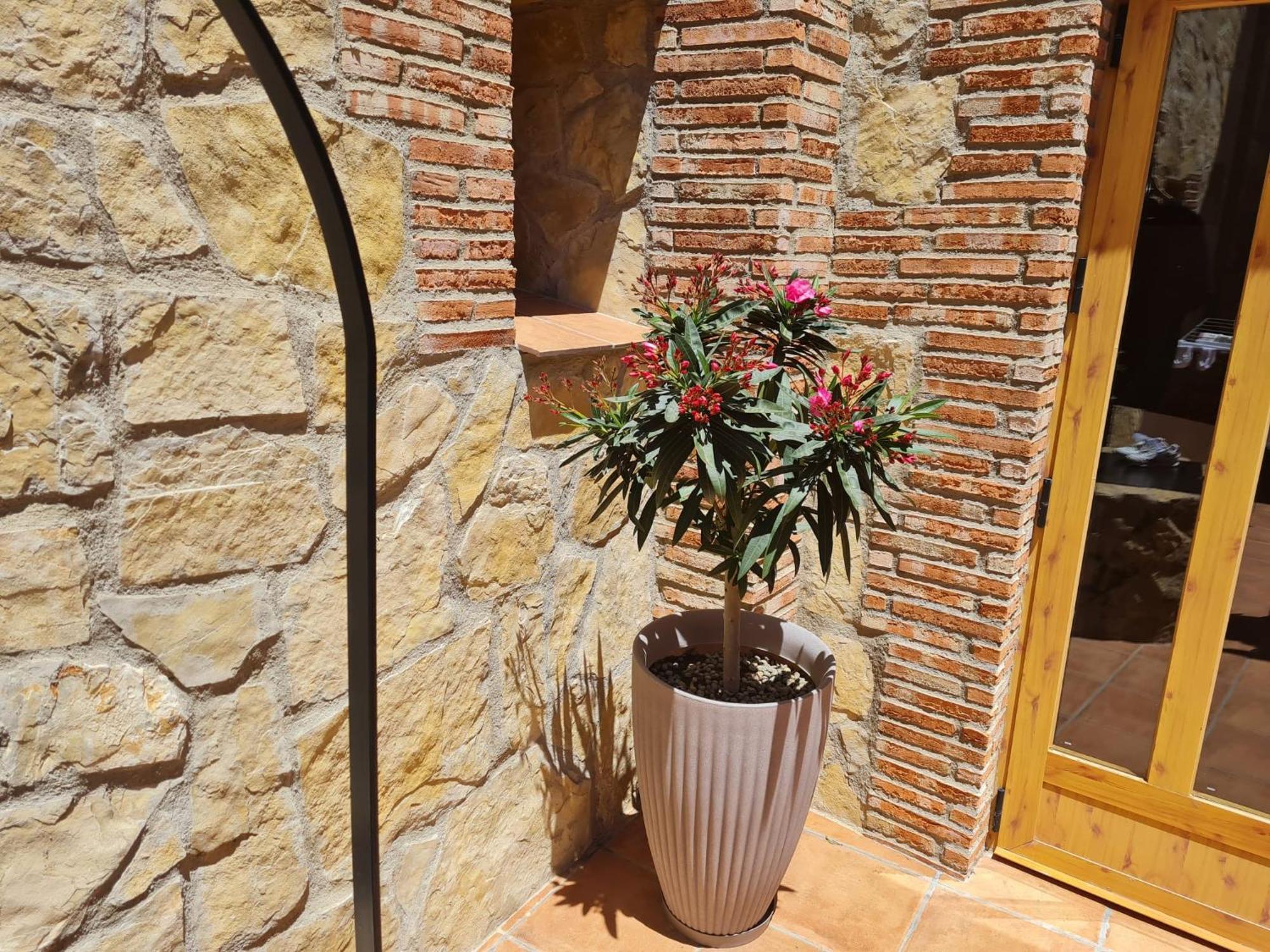 Casa Rural Del Pantano 4 Estrellas Buenache de Alarcon Exteriör bild